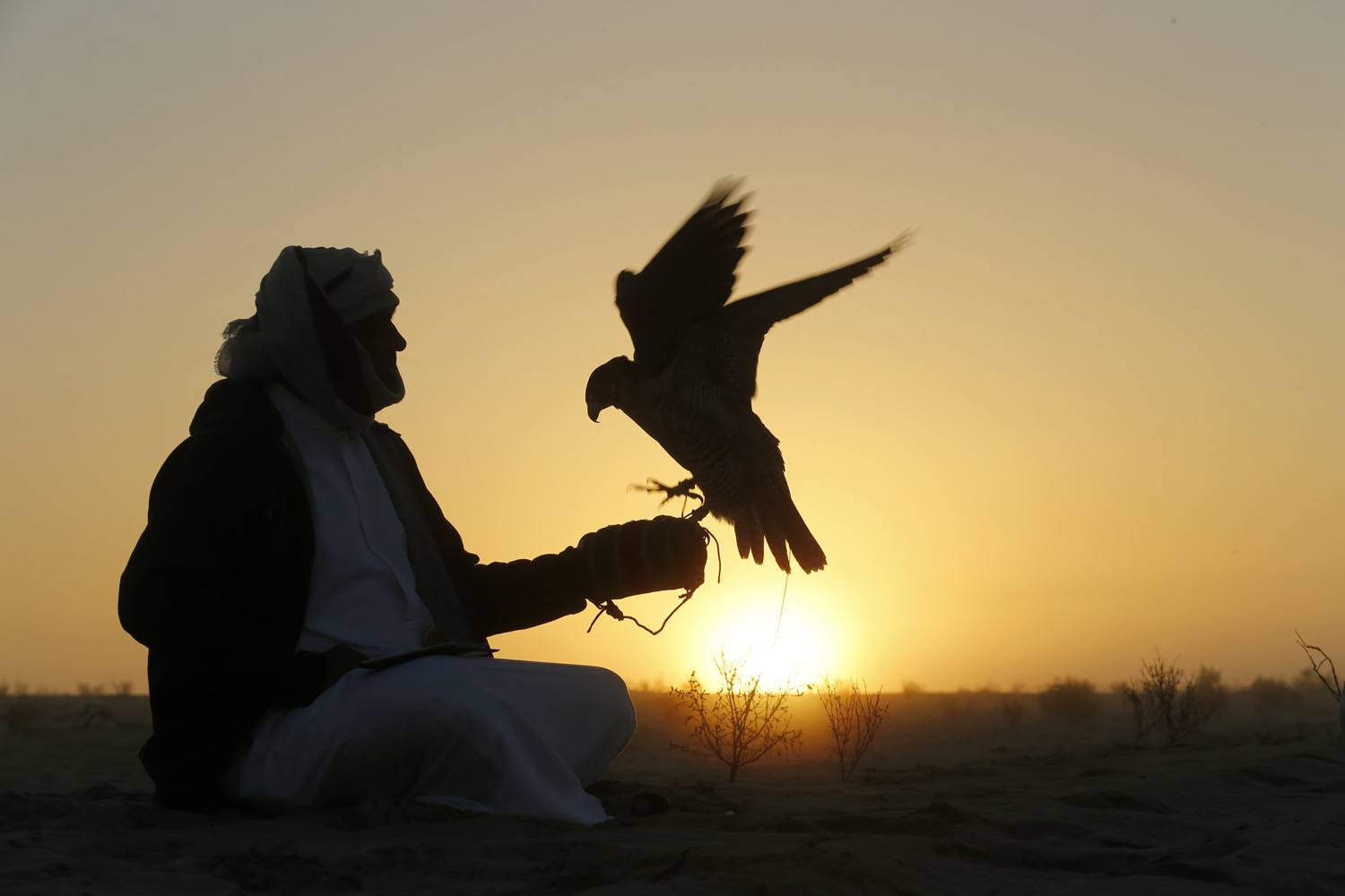 معرض أبوظبي للصيد يُطلق مُسابقة أجمل القصائد في وصف الطير والمقناص