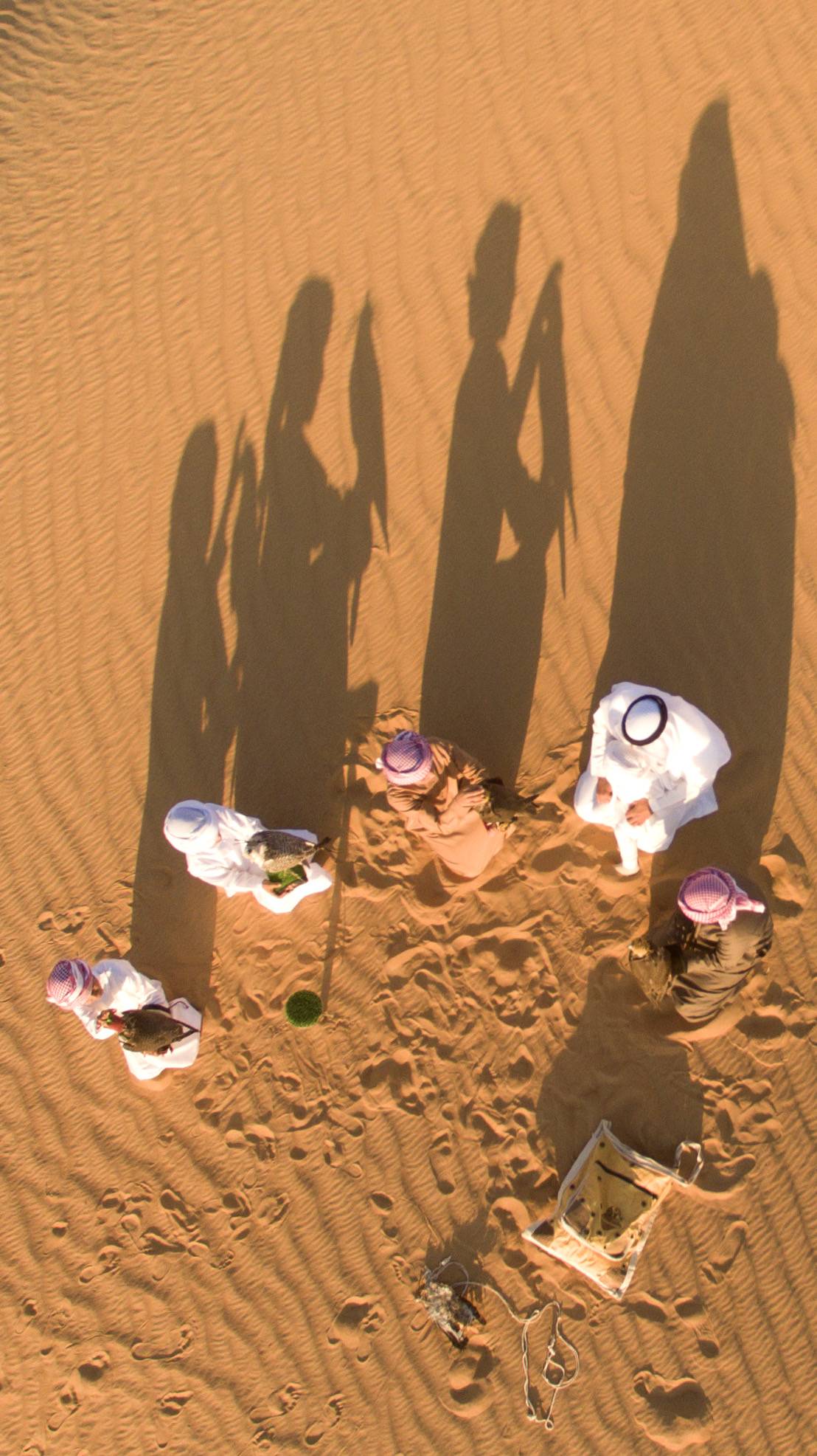 معرض أبوظبي للصيد يُطلق مُسابقة أجمل القصائد في وصف الطير والمقناص