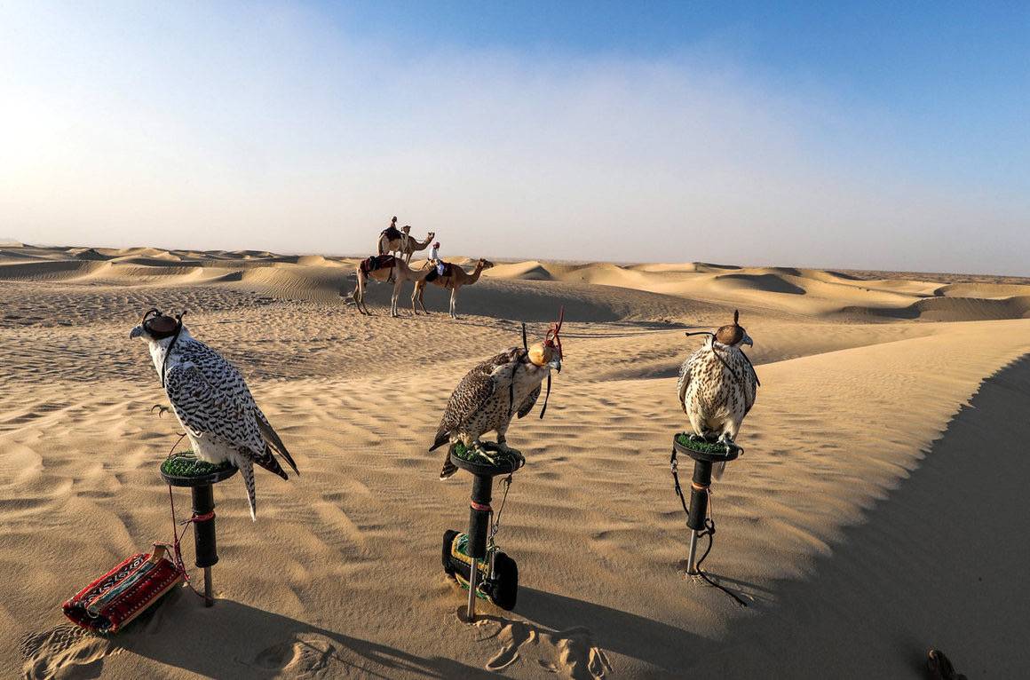 معرض أبوظبي للصيد يُطلق مُسابقة أجمل القصائد في وصف الطير والمقناص