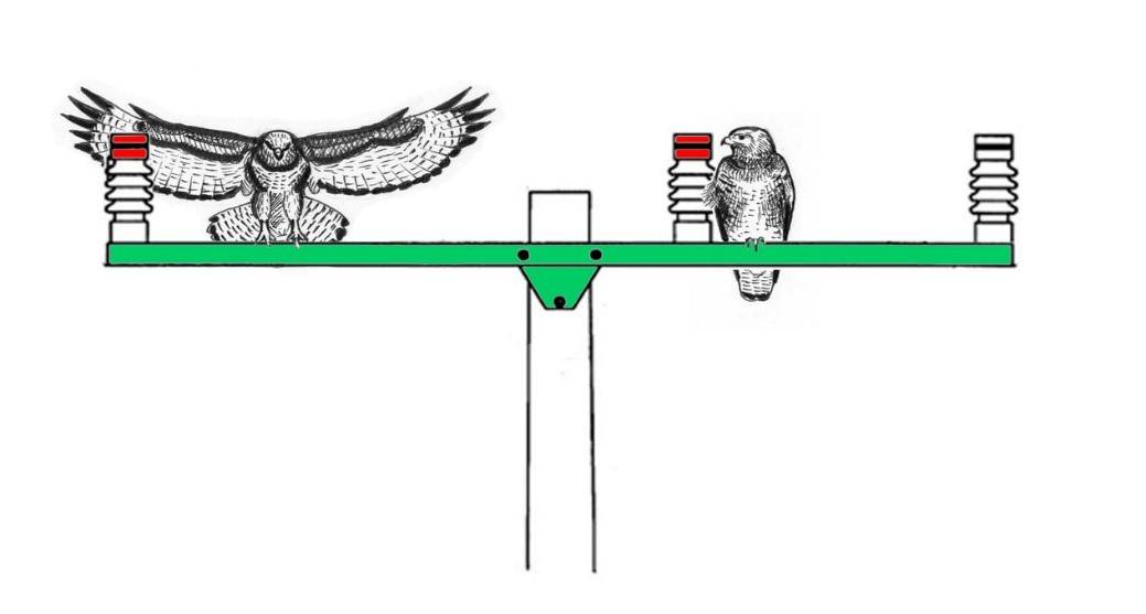 انقطاع الكهرباء بسبب حوادث الطيور المهاجرة