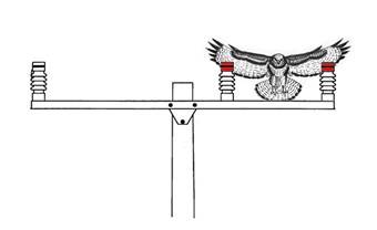 انقطاع الكهرباء بسبب حوادث الطيور المهاجرة