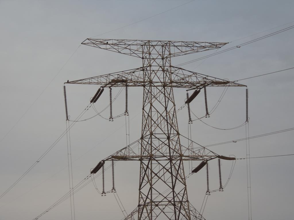 انقطاع الكهرباء بسبب حوادث الطيور المهاجرة