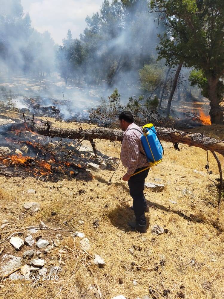 الدفاع المدني  يتعامل مع حريق اعشاب جافه بغابة جفين غرب اربد (صور)