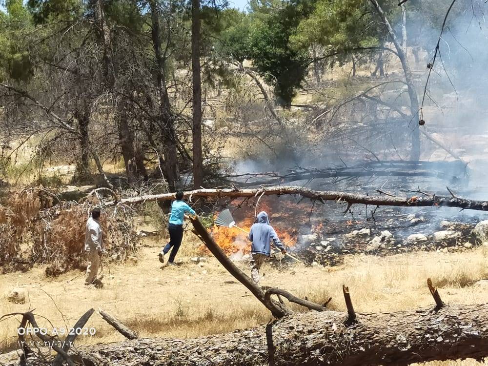 الدفاع المدني  يتعامل مع حريق اعشاب جافه بغابة جفين غرب اربد (صور) 