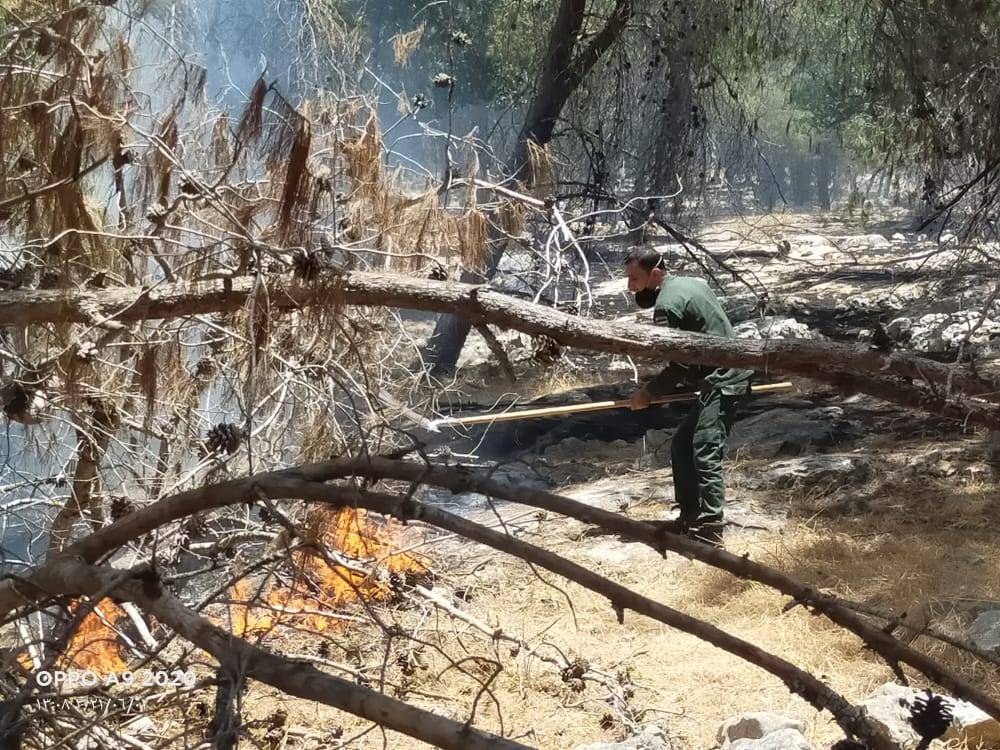 الدفاع المدني  يتعامل مع حريق اعشاب جافه بغابة جفين غرب اربد (صور) 