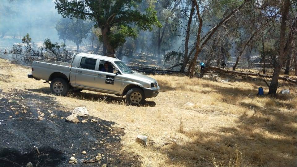 الدفاع المدني  يتعامل مع حريق اعشاب جافه بغابة جفين غرب اربد (صور) 