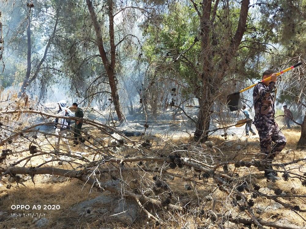 الدفاع المدني  يتعامل مع حريق اعشاب جافه بغابة جفين غرب اربد (صور) 