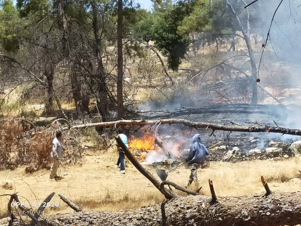 الدفاع المدني  يتعامل مع حريق اعشاب جافه بغابة جفين غرب اربد (صور) 