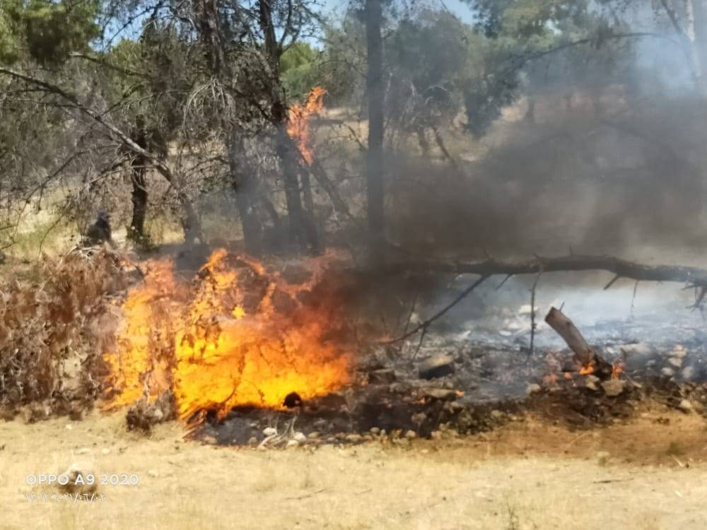 الدفاع المدني  يتعامل مع حريق اعشاب جافه بغابة جفين غرب اربد (صور) 