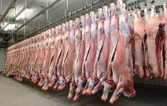 الأردن يبحث عن أسواق بديلة لاستيراد اللحوم