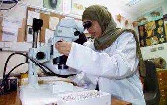 مشاركة فاعلة للمرأة العمانية في مسيرة التنمية