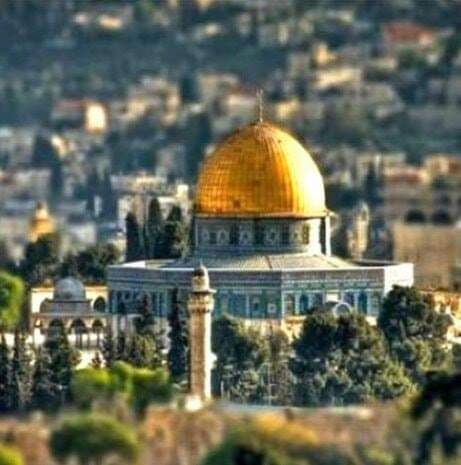 إصابات بصفوف الفلسطينيين خلال مواجهات مع قوات الاحتلال في القدس