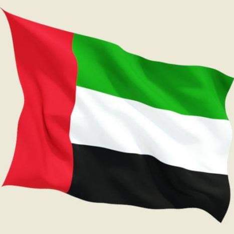 الإمارات: تحويل 80 بالمئة من جلسات المحاكم عن بُعد