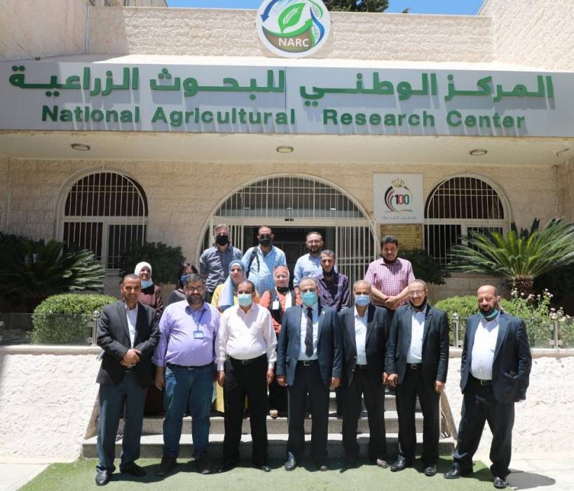 البحوث الزراعية وايكاردا يختتمان مشروعا لتأهيل الأراضي الرعوية