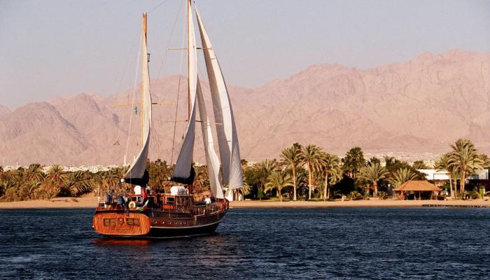 البخيت: خليج العقبة منطقة غير حاضنه لأسماك القرش