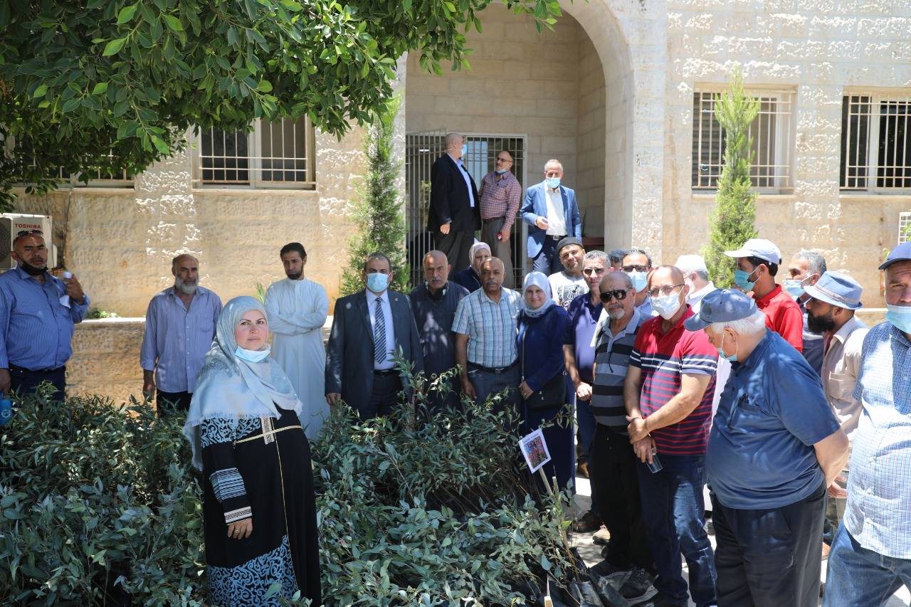 حداد : نسعى لتعزيز المصادر الرحيقية لنحل العسل