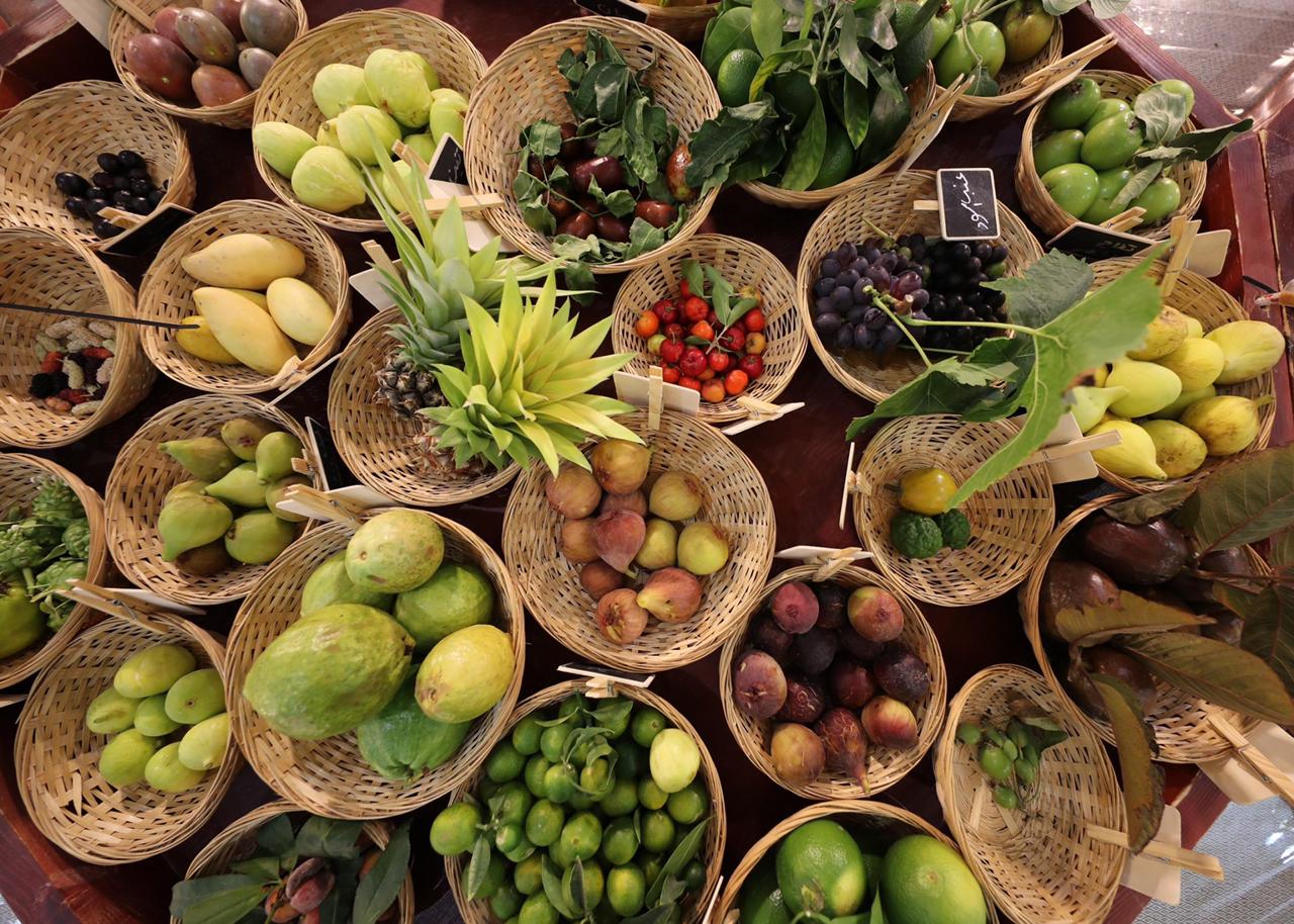 تحت رعاية منصور بن زايد.. مهرجان ليوا للرطب ينطلق 15 يوليو القادم