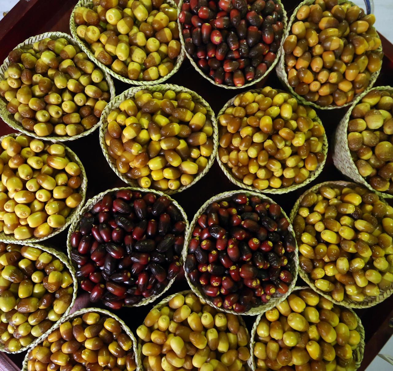 تحت رعاية منصور بن زايد.. مهرجان ليوا للرطب ينطلق 15 يوليو القادم