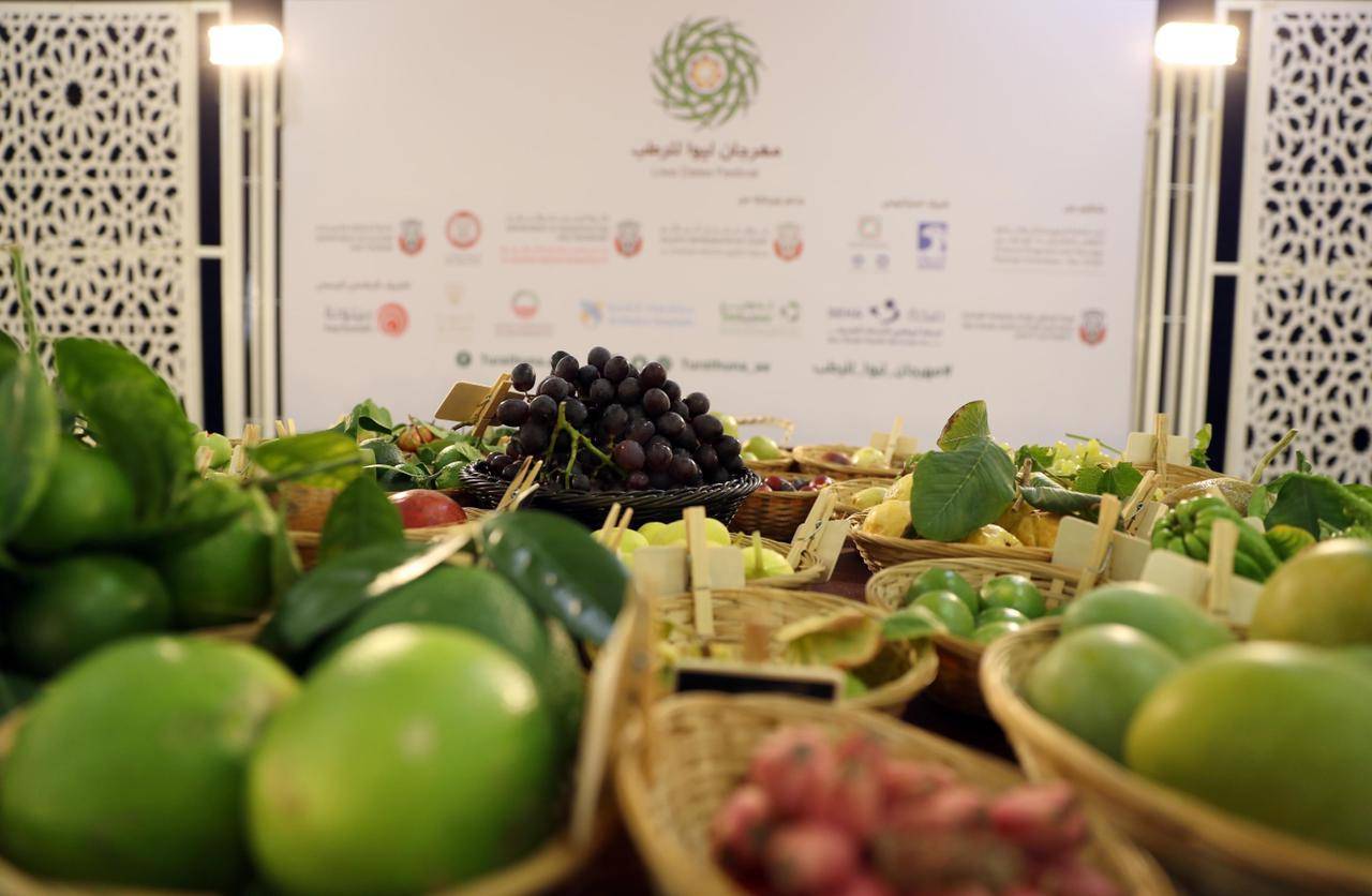 تحت رعاية منصور بن زايد.. مهرجان ليوا للرطب ينطلق 15 يوليو القادم