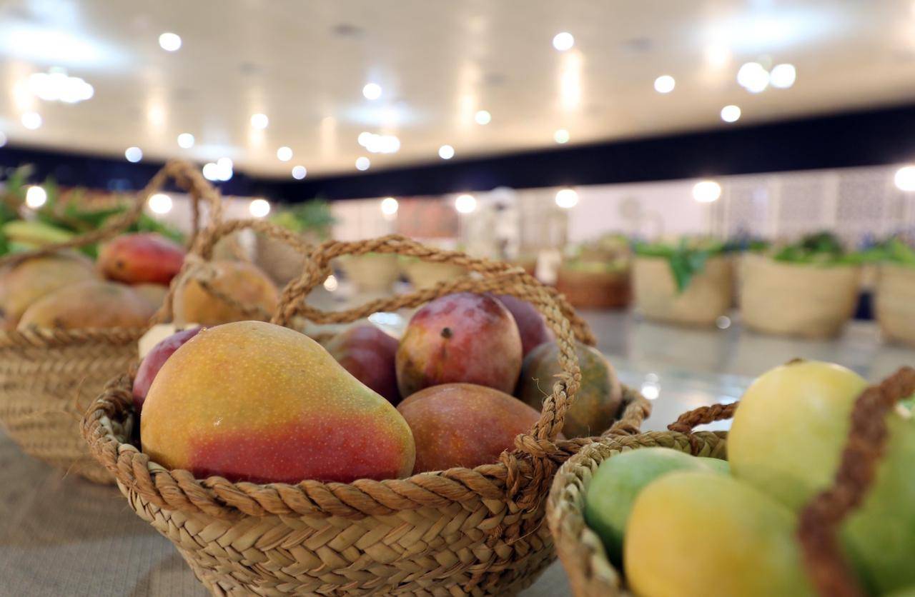 تحت رعاية منصور بن زايد.. مهرجان ليوا للرطب ينطلق 15 يوليو القادم