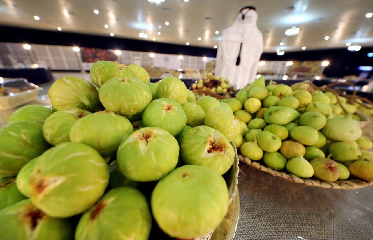 تحت رعاية منصور بن زايد.. مهرجان ليوا للرطب ينطلق 15 يوليو القادم