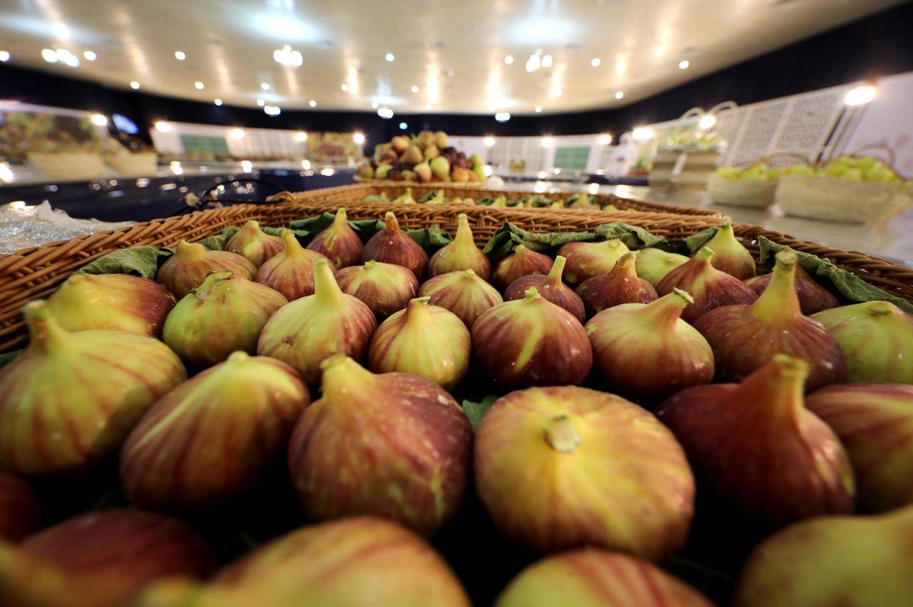 تحت رعاية منصور بن زايد.. مهرجان ليوا للرطب ينطلق 15 يوليو القادم