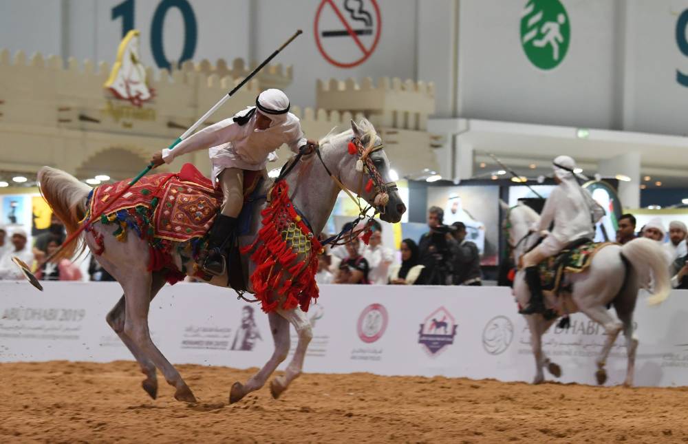 قفزة نوعية تشهدها فعاليات الخيل في معرض أبوظبي الدولي للصيد والفروسية 