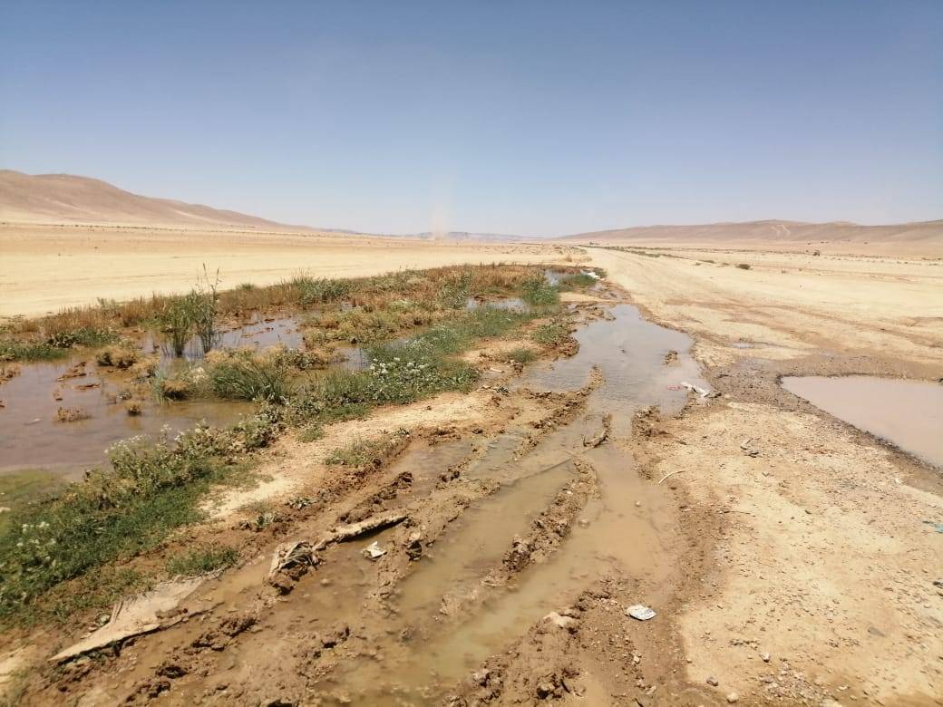 المياه ضبط عدد من الصهاريج التي تعتدي على خط ناقل مياه السلطاني بنحو(100) متر مكعب / الساعة في الكرك