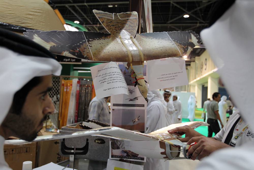 معرض أبوظبي الدولي للصيد والفروسية يستعرض التطورات الحديثة في الصقارة