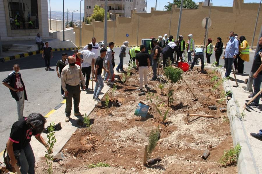 البلقاء التطبيقية و كلنا الأردن تطلقان مبادرة زراعية لزيادة الرقعة الخضراء داخل حرم مستشفى السلط الجديد