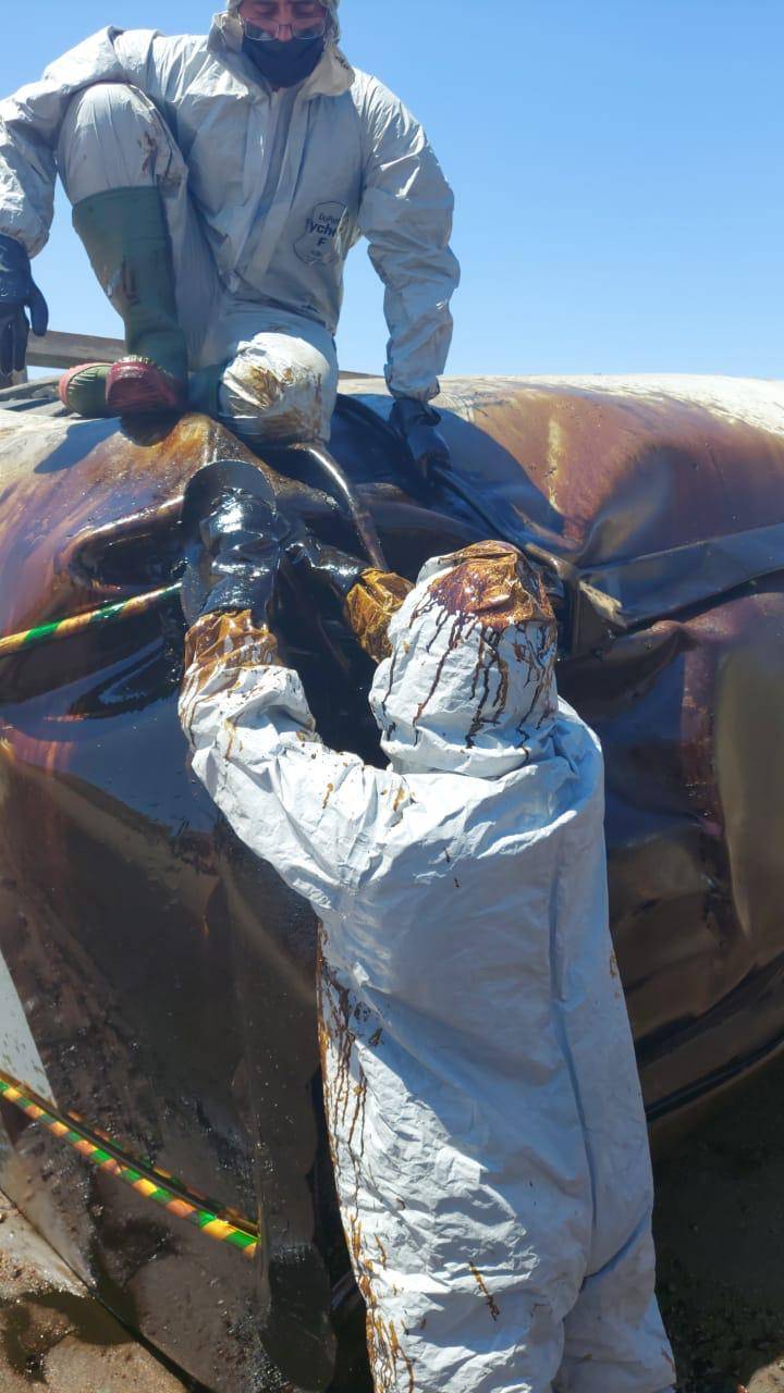 ‏الدفاع المدني يتعامل مع انقلاب صهريج محمل بمادة T1 النفطية (صور) 