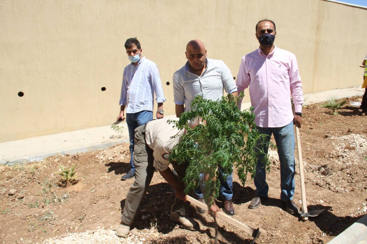 البلقاء التطبيقية و كلنا الأردن تطلقان مبادرة زراعية لزيادة الرقعة الخضراء داخل حرم مستشفى السلط الجديد  