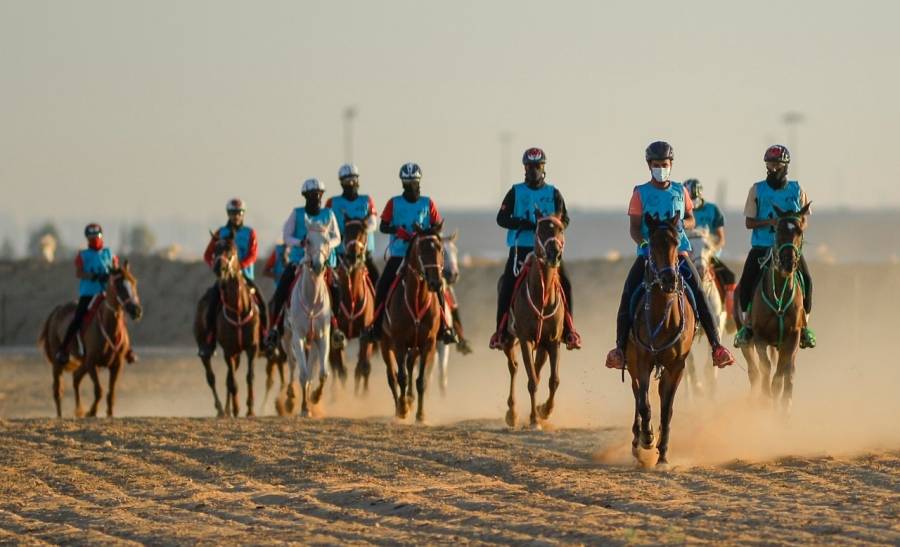 الفريق الملكي للقدرة والتحمل البحريني يسيطر على المراكز الأولى في بطولة الأردن الدولية للقدرة والتحمل