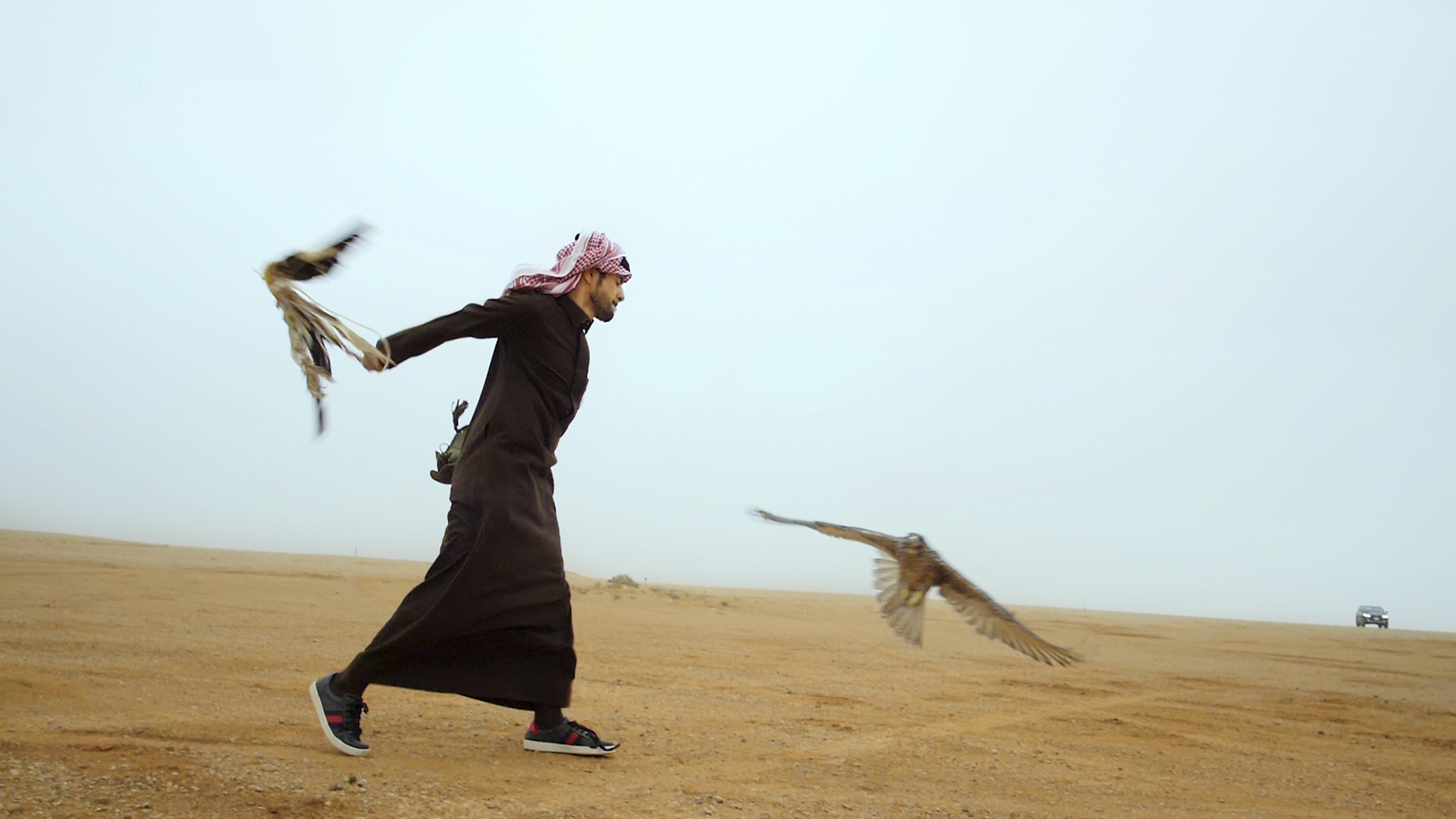 حلفاء الطبيعة.. وثائقي عن الصقارين بالمملكة العربية السعودية