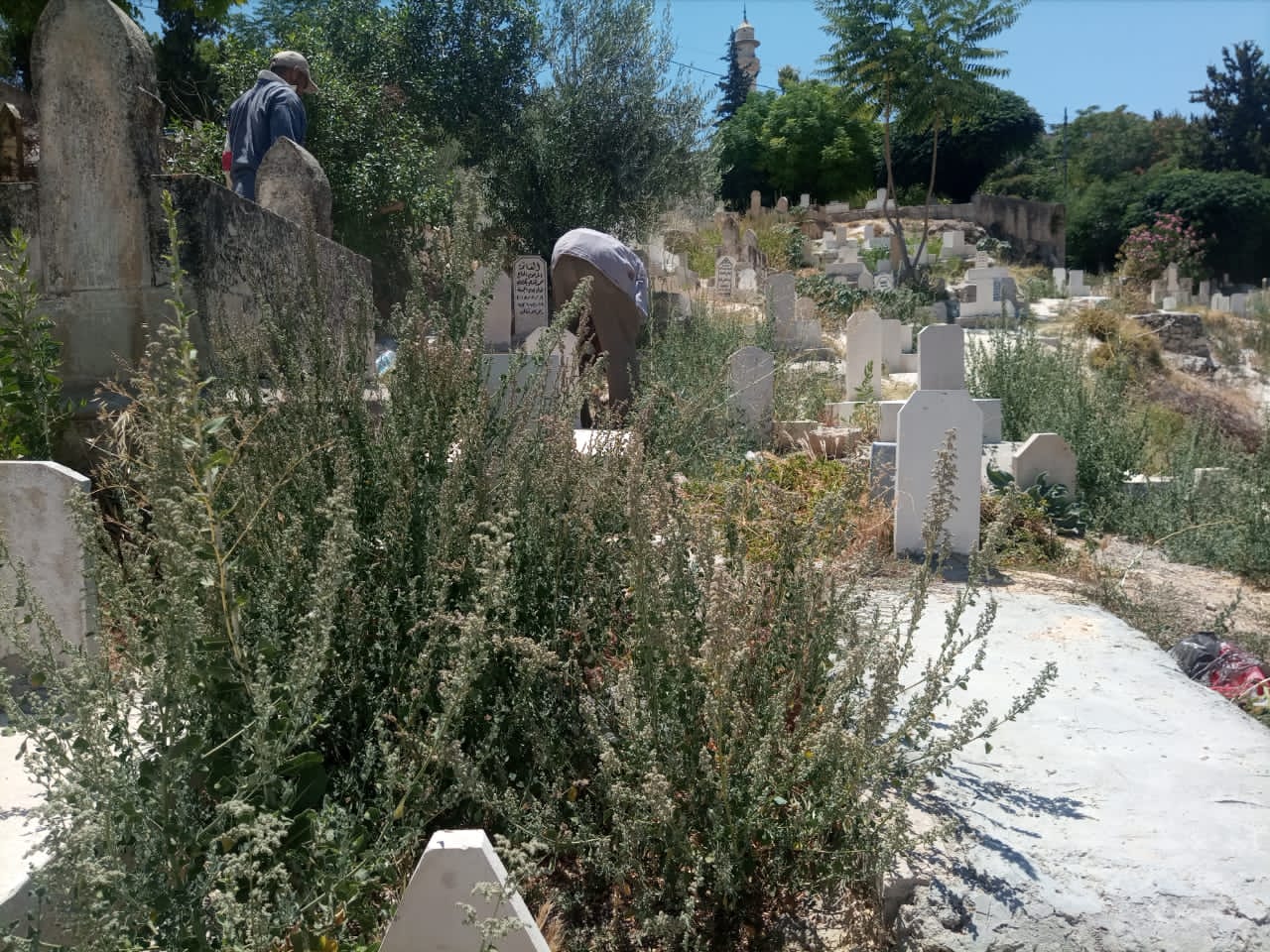 بلدية السلط تنفذ حملة نظافة للمقابر استعدادا لعيد الأضحى المبارك  