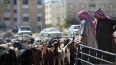 خطة للغذاء والدواء رقابية لعيد الأضحى