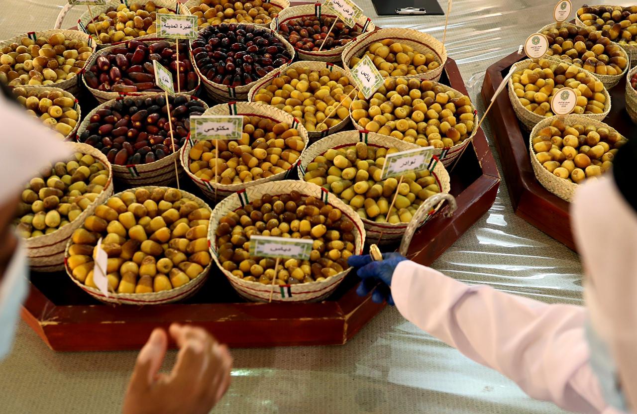 تحت رعایة منصور بن زاید.. مھرجان لیوا للرطب 17 ینطلق غداً