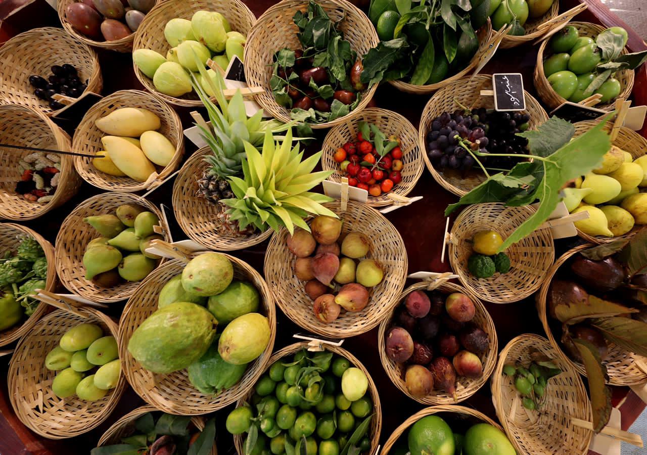 تحت رعایة منصور بن زاید.. مھرجان لیوا للرطب 17 ینطلق غداً