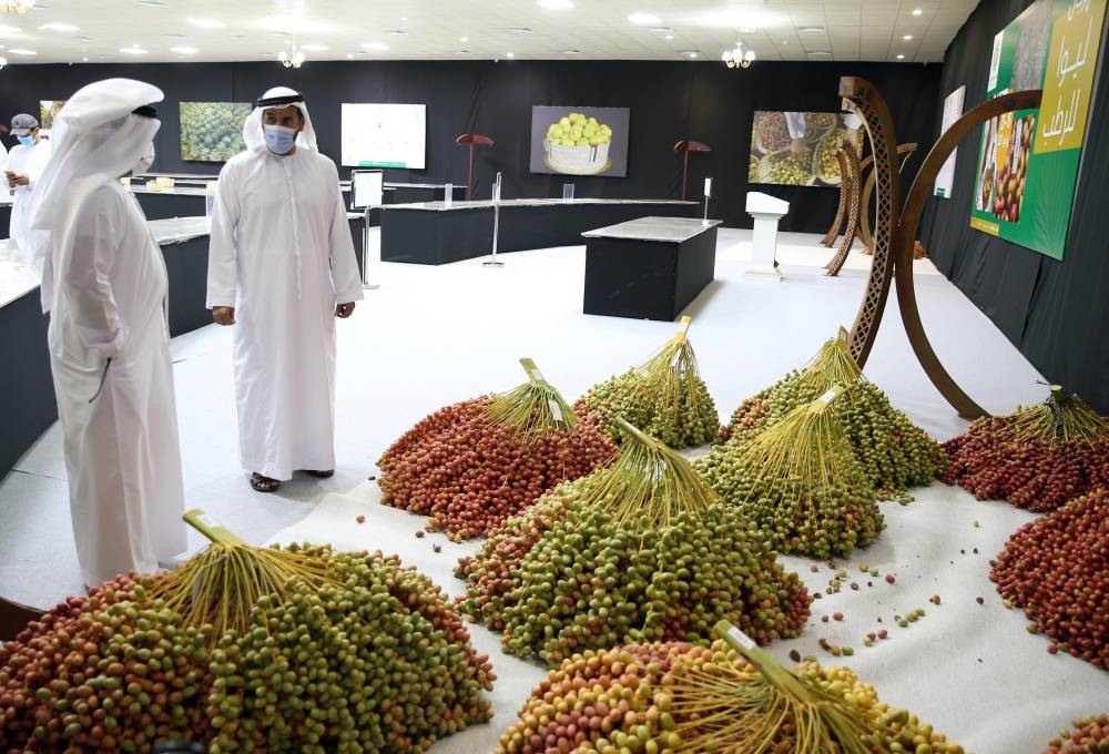  انطلاق مهرجان ليوا للرطب في مدينة ليوا بالظفرة بدون زوار