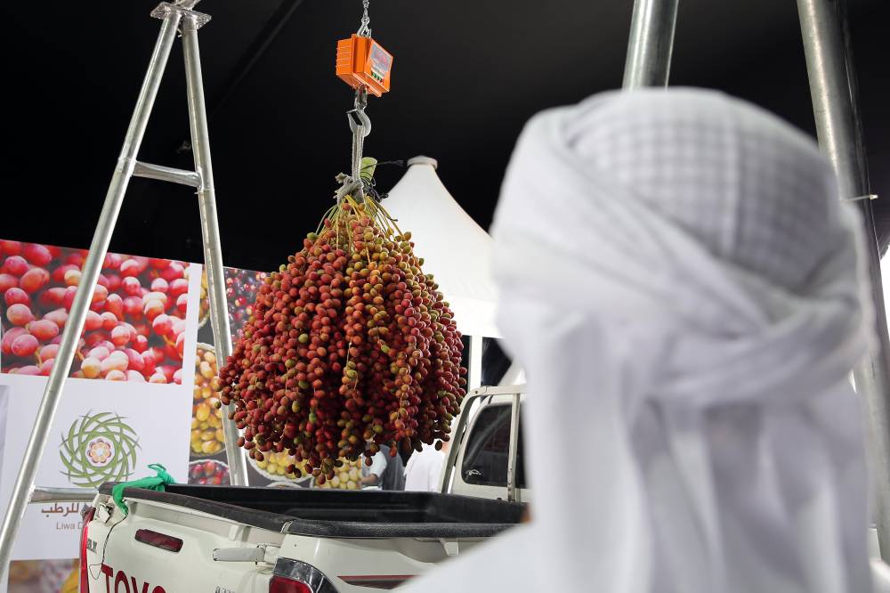  انطلاق مهرجان ليوا للرطب في مدينة ليوا بالظفرة بدون زوار