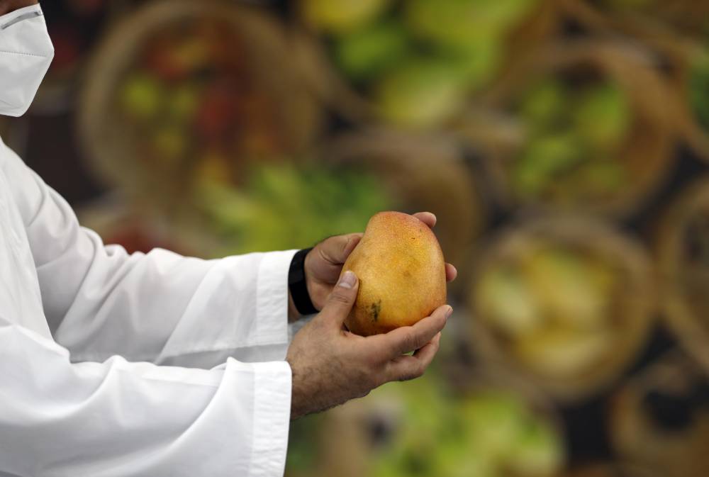 106 كلغ وزن أكبر عذج في مهرجان ليوا للرطب بدورته 17