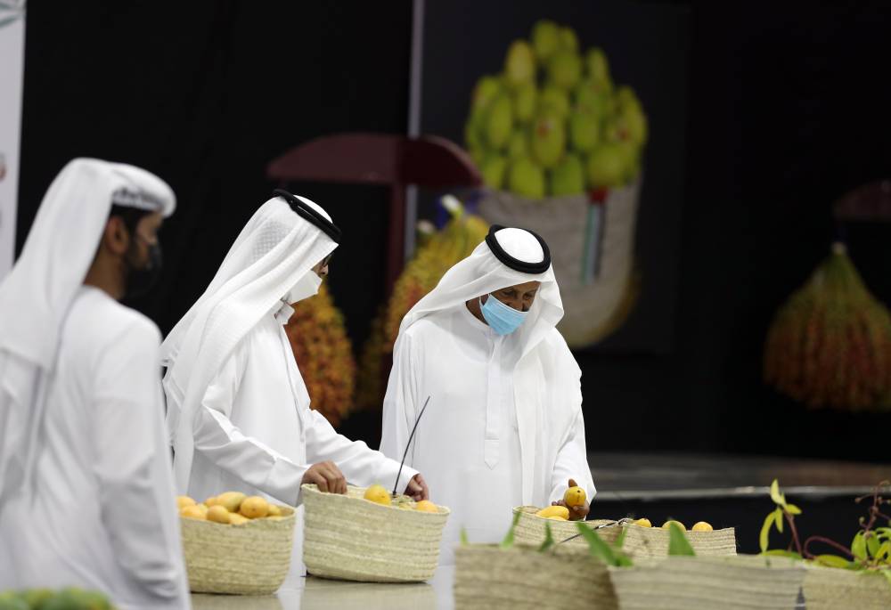 106 كلغ وزن أكبر عذج في مهرجان ليوا للرطب بدورته 17