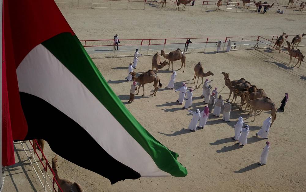  توسیع نطاق مھرجان الظفرة لیتضمن مواقع وفعالیات وجوائز إضافیة