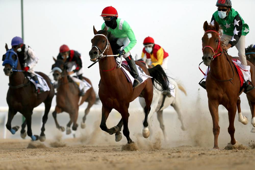  توسیع نطاق مھرجان الظفرة لیتضمن مواقع وفعالیات وجوائز إضافیة