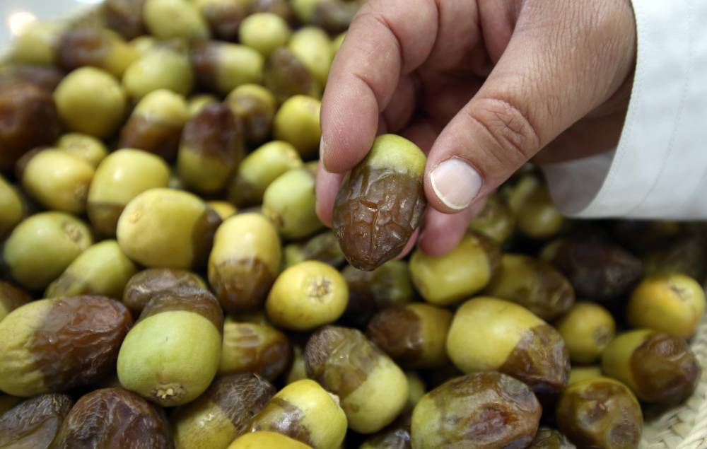 ضمن تغطيات اليوم الثالث من مهرجان ليوا للرطب بدورته 17