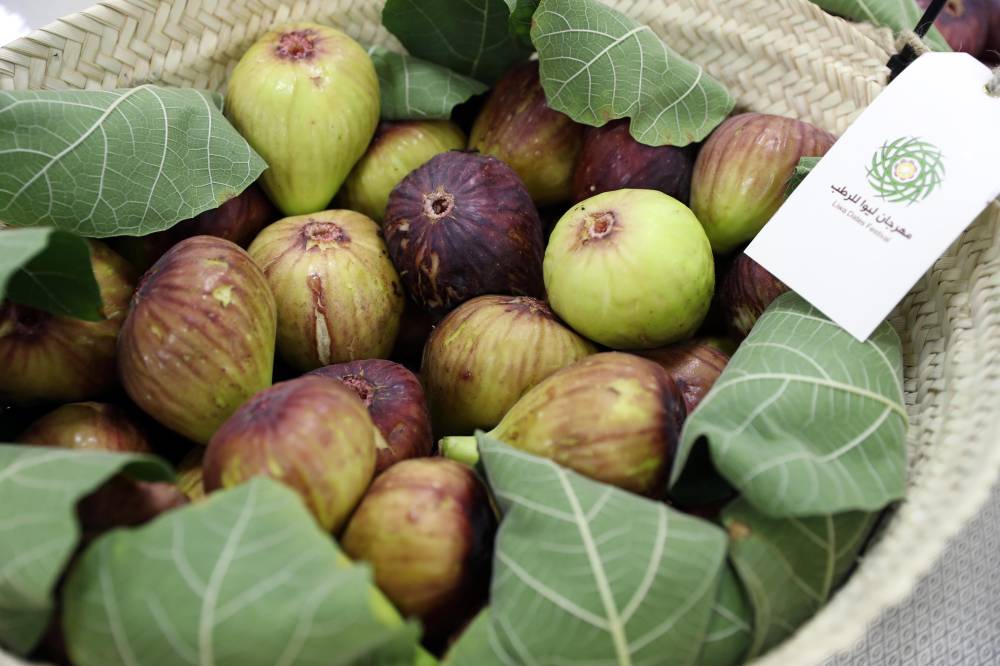 صحة.. خدمات متكاملة لضمان السلامة وجودة التدابير الصحية في مهرجان ليوا للرطب