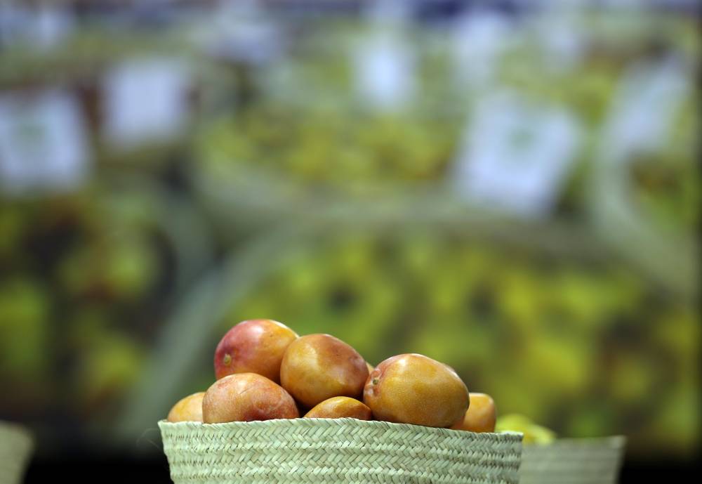 صحة.. خدمات متكاملة لضمان السلامة وجودة التدابير الصحية في مهرجان ليوا للرطب