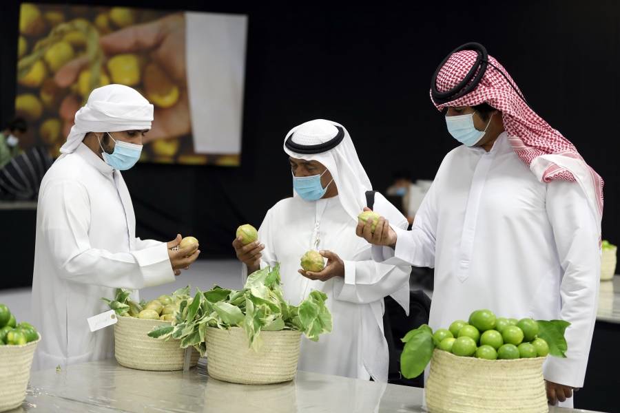 أبوظبي للزراعة والسلامة الغذائية تنظم محاضرات توعوية افتراضية في مهرجان ليوا للرطب