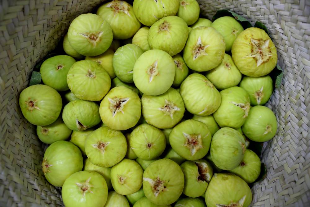 أبوظبي للزراعة والسلامة الغذائية تنظم محاضرات توعوية افتراضية في مهرجان ليوا للرطب