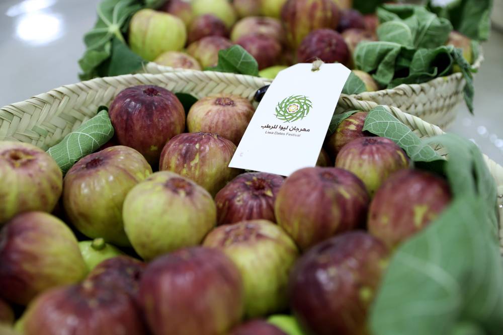 أبوظبي للزراعة والسلامة الغذائية تنظم محاضرات توعوية افتراضية في مهرجان ليوا للرطب